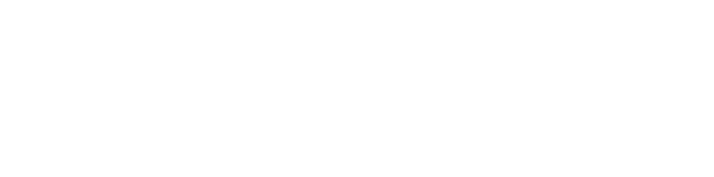 SalonFlow Footer Logo